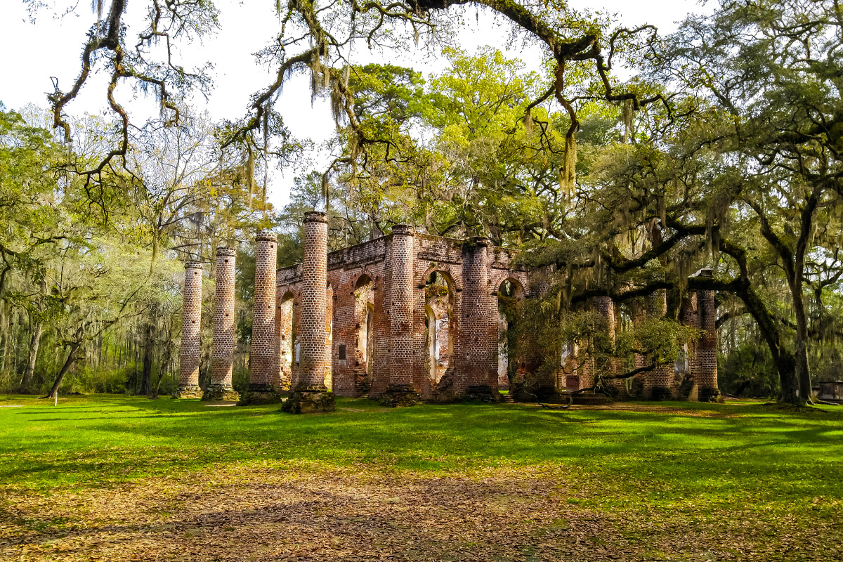 A beautiful image of the Old Sheldon Church columns.