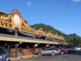 {{brizy_dc_image_alt entityId=