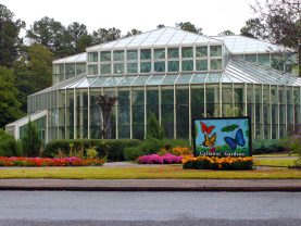 {{brizy_dc_image_alt entityId=